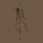#ROACHNATION