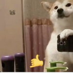 DOGGOS! =D