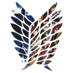 Aesthetical Unique