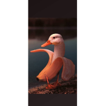 Inverted Duck's Squad