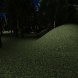haunting Forest