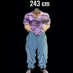 [FIXES] 243cm simulator