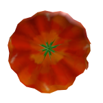 Orange and Green Headcage