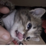 qtQlothiing