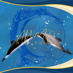 AquaWorld · Main Stadium