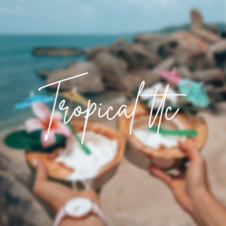 tropical ttc