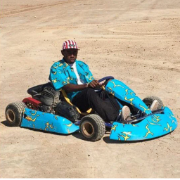 Tyler Kart