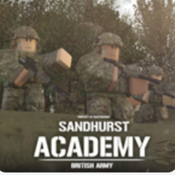 🤼‍♂️// Sandhurst Academy