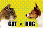 Cats vs Dogs squad