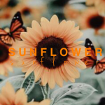 { S U N F L O W E R }
