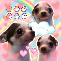 ୨♡୧