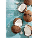 Coco nut zls fãns!