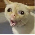 اتاك