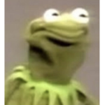 I like frogs group