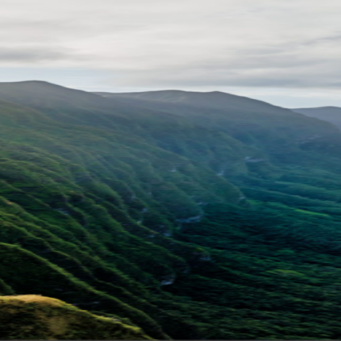 view eight Roblox decal