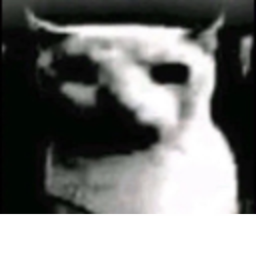 My Gatitobruhvoid reaction
