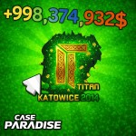 Case Paradise