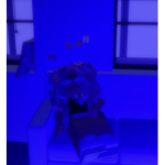 Violet plays