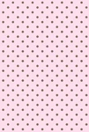 SakuraDvdKushnera Group Thumbnail