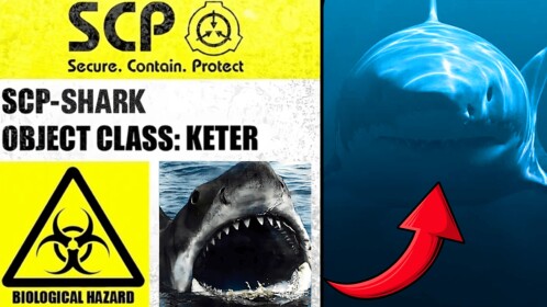 SCP Shark and Monsters