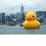 BedWars Duck Clan