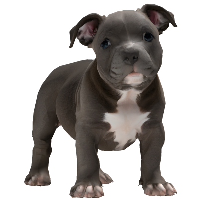 Carry a Pitbull Puppy Roblox item