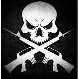 Deadly Assassins With Guns