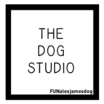 the dog studio