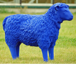 Azul Shep ROBLOX GROUP