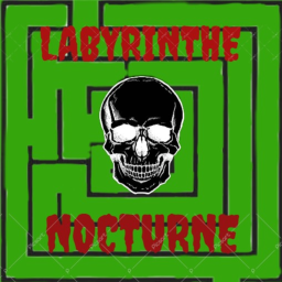 LABYRINTHE NOCTURNE