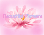 ~~Beautiful flowers~~