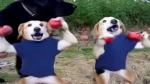 Group Thumbnail