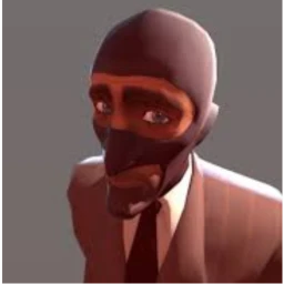 SPY IS INVISIBLE icon