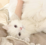 Kitty buddies!!