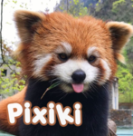 Pixiki