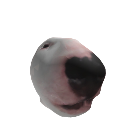 Walter Dog Meme