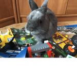 Rabit Fan