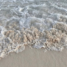 ˖°🌊⋆🐚🫧