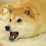 pro doggo group for pro gamer doggos