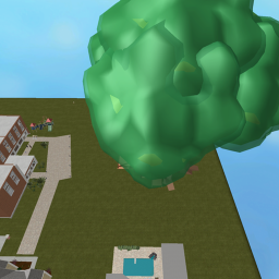 House & School
