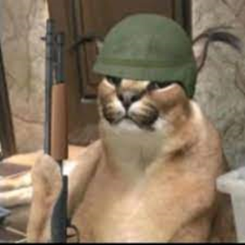 guerra x floppa [leer decripicion]