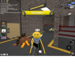 The bear girl plays roblox group