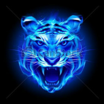XPrime Group Thumbnail