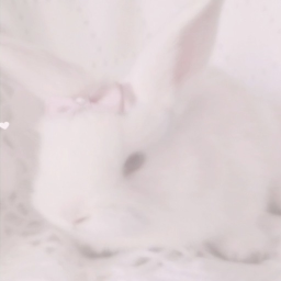 Ი𐑼