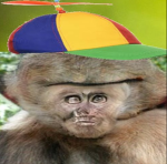 do you need robux’s then join this group