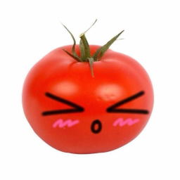 ˚ . ・ 🍅 ・ . ˚ 🥬 ♡