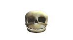 SKULLE_d