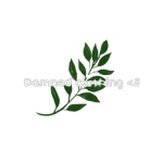 Damned Clothes <3