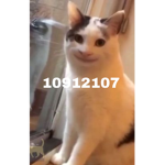 Brokelitone