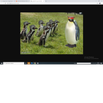 penguins wars